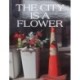 The City is a Flower