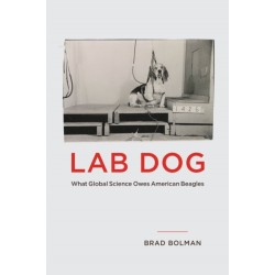 Lab Dog: What Global Science Owes American Beagles