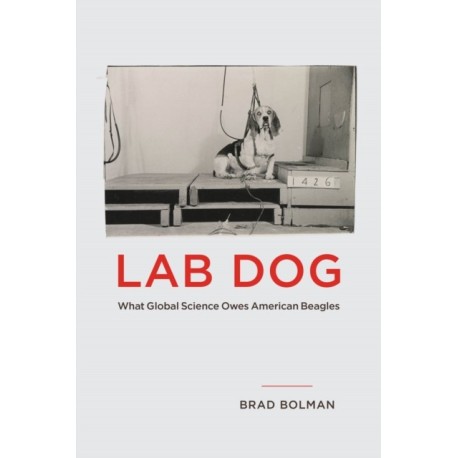 Lab Dog: What Global Science Owes American Beagles