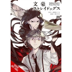 Bungo Stray Dogs, Vol. 20