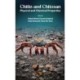 Chitin and Chitosan: Physical and Chemical Properties