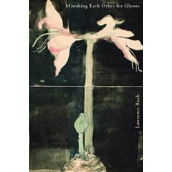 Mistaking Each Other for Ghosts