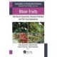 Minor Fruits: Nutritional Composition, Bioactive Potential, and Their Food Applications