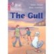 The Gull: Phase 2 Set 4 Blending Practice
