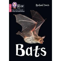 Bats: Phase 2 Set 5