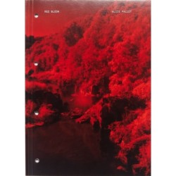 Red Bloom