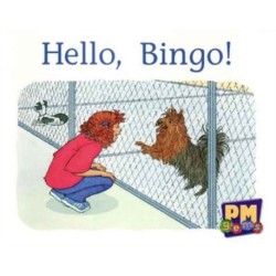 Hello, Bingo!