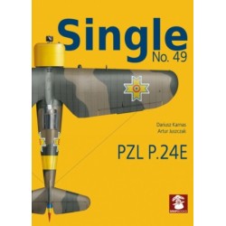 Single No. 49 PZL P.24E Romanian Air Force