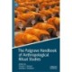 The Palgrave Handbook of Anthropological Ritual Studies