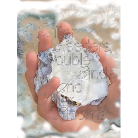 Filter Feeders, Double Binds & Other Blooms