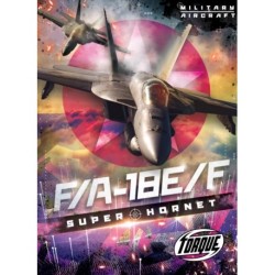 F/a 18e/F Super Hornet