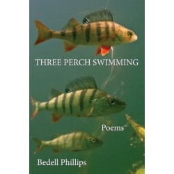 Three Perch Swimming