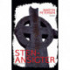 Stenansigter: roman