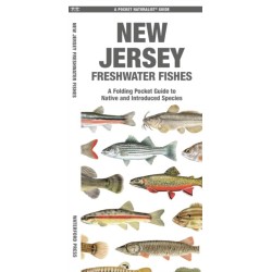 New Jersey Freshwater Fishes