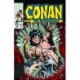 Conan The Barbarian: The Original Comics Omnibus Vol.7
