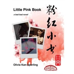 Little Pink Book: A Bad Bad Novel