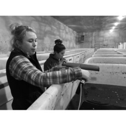 Crush: My Year As an Apprentice Winemaker