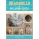 Seashells of the Jersey Shore: Identify and Learn about the Shells You Find on the Beach