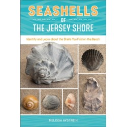 Seashells of the Jersey Shore: Identify and Learn about the Shells You Find on the Beach