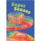 Super Senses: Fluency 5