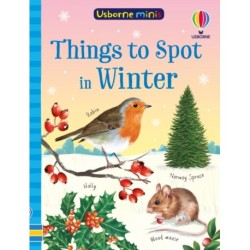Things to Spot in Winter