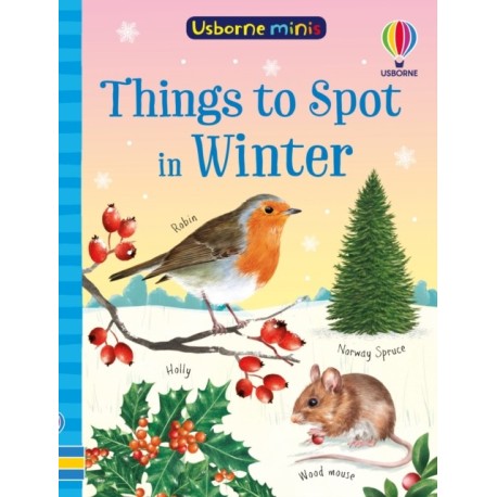 Things to Spot in Winter