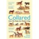 Collared: How We Made the Modern Dog