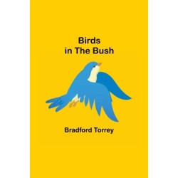 Birds in the Bush