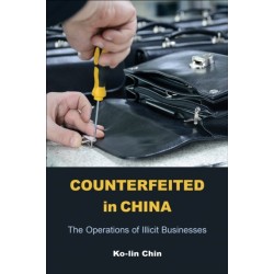 Counterfeited in China: The Operations of Illicit Businesses