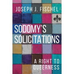 Sodomy's Solicitations: A Right to Queerness