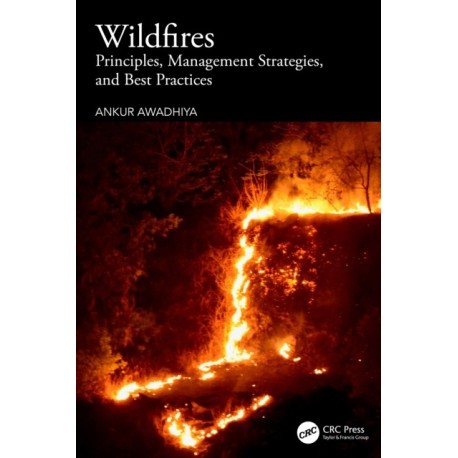 Wildfires: Principles, Management Strategies, and Best Practices