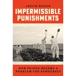 Impermissible Punishments: How Prison Became a Problem for Democracy