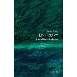 Entropy: A Very Short Introduction