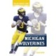 Michigan Wolverines