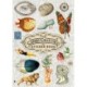 The Curious Collections Sticker Book