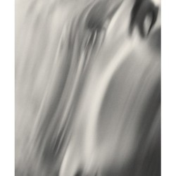 Henry O. Head: Twelve Acres