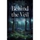Behind the Veil: One Man's Journey from Opioid Addiction to Spirituality and Beyond