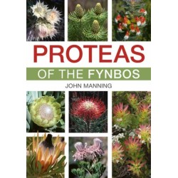 Proteas of the Fynbos