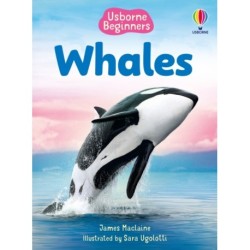 Beginners Whales