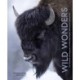 Wild Wonders: The Untamed and Enigmatic Animals that Inhabit Yellowstone National Park