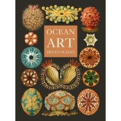 Ocean Art: From the Shore to the Deep