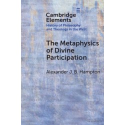 The Metaphysics of Divine Participation