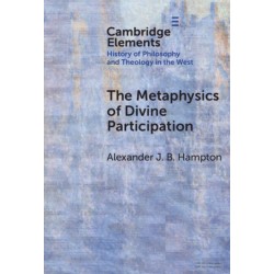 The Metaphysics of Divine Participation
