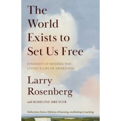 The World Exists to Set Us Free: Straight-Up Dharma for Living a Life of Awareness