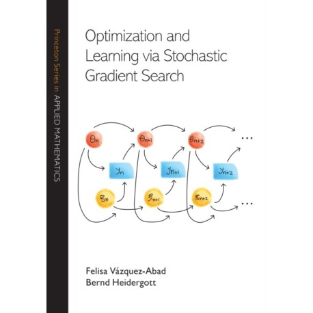 Optimization and Learning via Stochastic Gradient Search