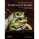 An Introduction to the Amphibians of Ecuador: Diversity, Conservation, and Cultural History
