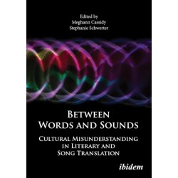 Between Words and Sounds: Cultural Misunderstanding in Literary and Song Translation