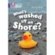 What's washed up on shore?: Band 08/Purple