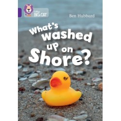 What's washed up on shore?: Band 08/Purple