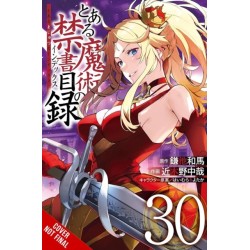 A Certain Magical Index, Vol. 30 (manga)